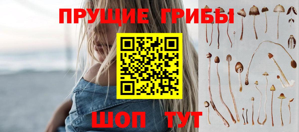 Галлюциногенные грибы Psilocybe  Вход с VPN  Кострома  Галлюциногенные грибы MAGIC MUSHROOMS 